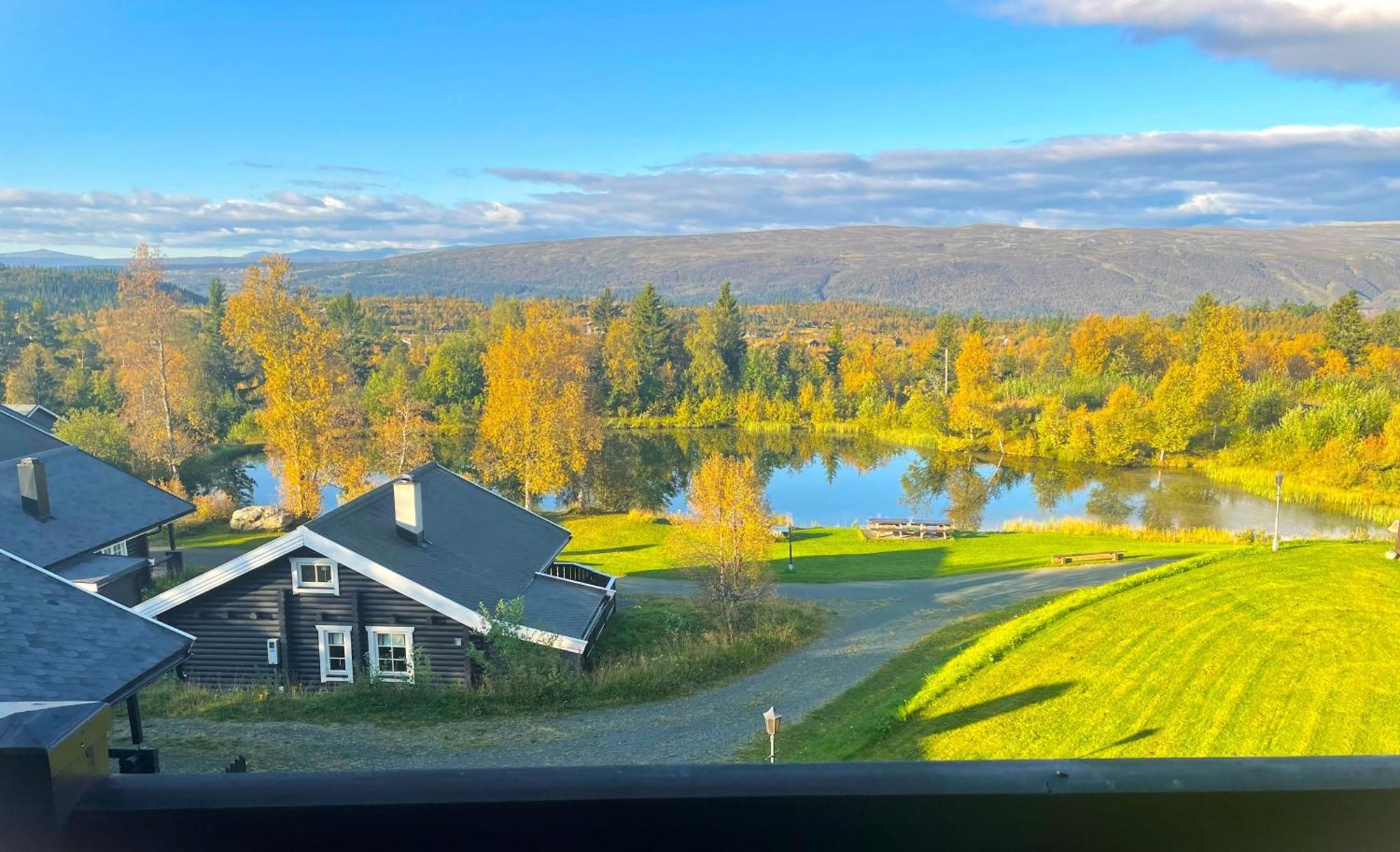 Fjellparken 351